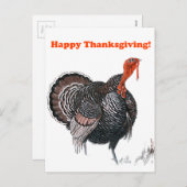 Glückwunsch Thanksgiving Vintage Türkei Zeichnend Feiertagspostkarte (Vorne/Hinten)