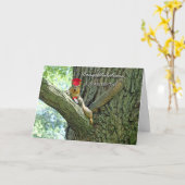 Glückwunsch zum Abschluss für Grandson Karte (Gelbe Blume)