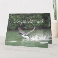 Glückwunsch zum Flug