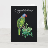 Glückwunsch zur neuen Parrot-Vogel-Adoption