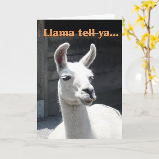 Glückwunsch zur Werbeaktion - Llama Karte (Gelbe Blume)