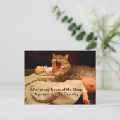 Glückwünsche an neue Eltern Postkarte (Stehend Vorderseite)