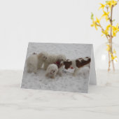 Glückwünsche auf dem neuen Job Karte (Gelbe Blume)