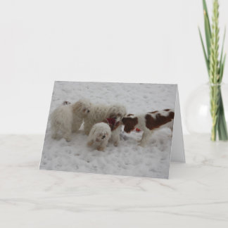 Glückwünsche auf dem neuen Job Karte