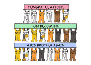 Ich Bin Ein Grosser Bruder Karten Zazzle De