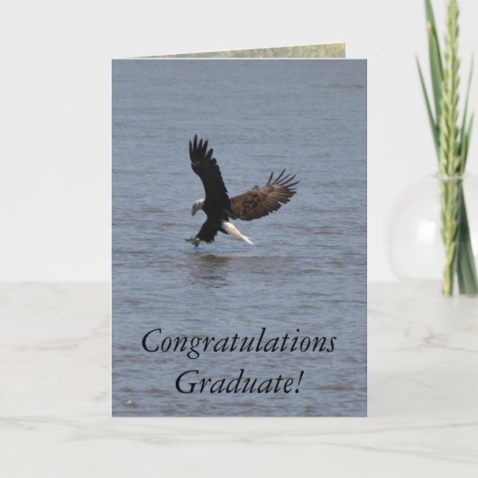 Glückwünsche graduieren ~ Weißkopfseeadler Karte (Vorderseite)