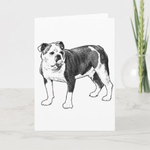 Glückwünsche, Hunde-Kunstkarte Karte