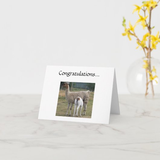 Glückwünsche... Karte (Gelbe Blume)