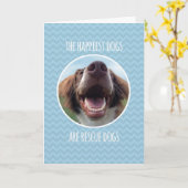 Glückwünsche, Rettungs-Hund adoptierend, blaues Karte (Gelbe Blume)