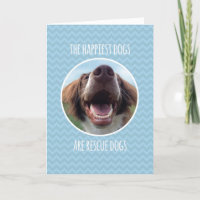 Glückwünsche, Rettungs-Hund adoptierend, blaues