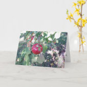 Glückwunschkarte "Hanging Apple" Karte (Gelbe Blume)