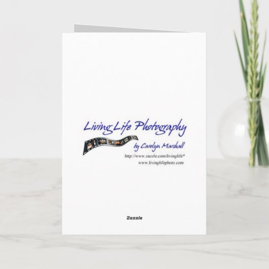 Glückwunschkarte Karte (Rückseite)