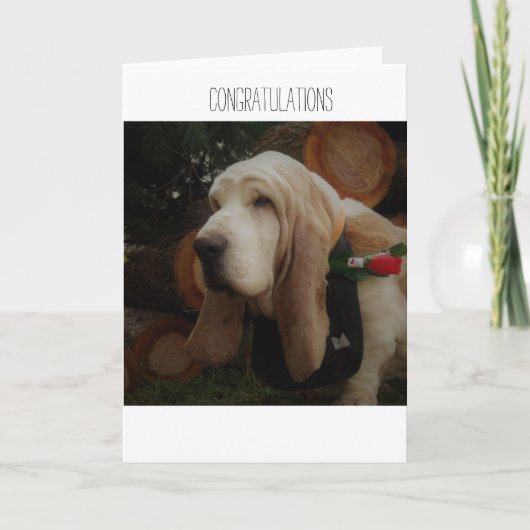 Glückwunschkarte Karte (Vorderseite)