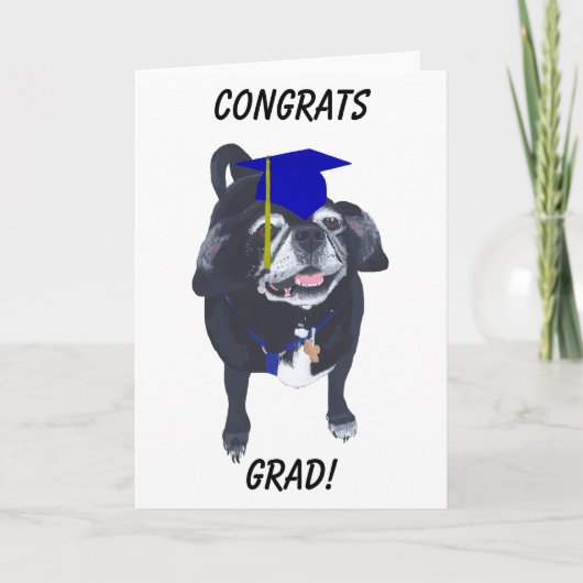 Glückwunschs Grad Mops Blue Cap und Tassel Cards Karte (Vorderseite)