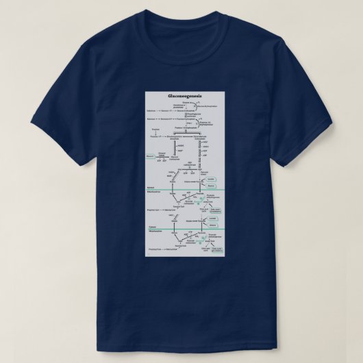 Gluconeogenesis biochemical pathway T-Shirt (Design vorne)