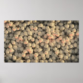 Glühbirne Poster (Vorne)