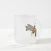 Glühen Firefly Lampyridae Mattglastasse (VorderseiteRechts)