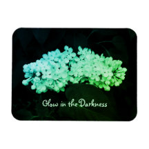 Glühen in den dunkelgrünen Lilaks verändertes Foto