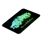 Glühen in den dunkelgrünen Lilaks verändertes Foto Magnet (Linke Seite)