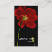 © Glühen in Dunkelheit Red Gerbery Daisy Floral Visitenkarte (Vorderseite)