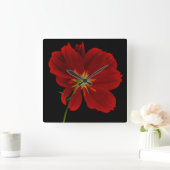 Glühen in Dunkelheit/Rote Gerbera Fotografie Quadratische Wanduhr (Zuhause)
