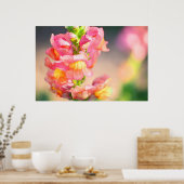 Glühen Poster (Küche)