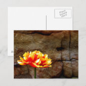 Glühen Postkarte (Vorne/Hinten)