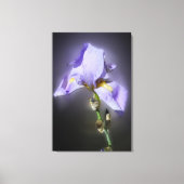 glühend lila leinwanddruck (Vorderseite)