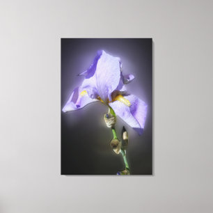 glühend lila leinwanddruck