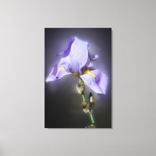 glühend lila leinwanddruck (Vorderseite)