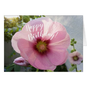Glühend rosa Hollyhock Blume Geburtstagskarte