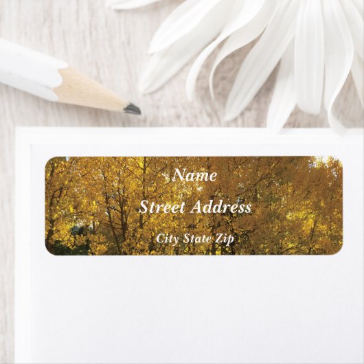 Glühende Aspen Trees (Insitu)