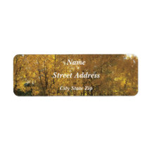 Glühende Aspen Trees