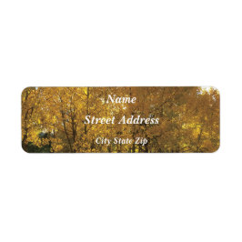 Glühende Aspen Trees