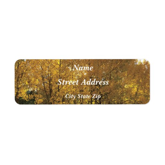 Glühende Aspen Trees (Vorne)