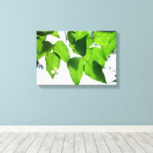 Glühende Birke-Blätter Stretched Canvas Print Leinwanddruck (Insitu (Holzboden))