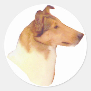 Glühende Collie-Geschenke Runder Aufkleber