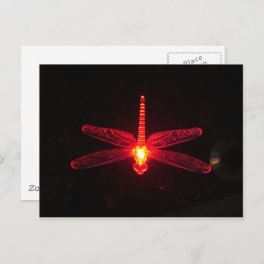 Glühende Dragonfly Postkarte (Vorne/Hinten)