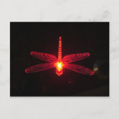 Glühende Dragonfly Postkarte (Vorderseite)
