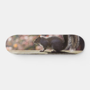 Glühende Eichhörnchen-Skateboard Skateboard