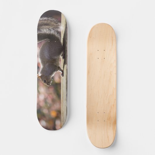 Glühende Eichhörnchen-Skateboard Skateboard (Vorderseite)