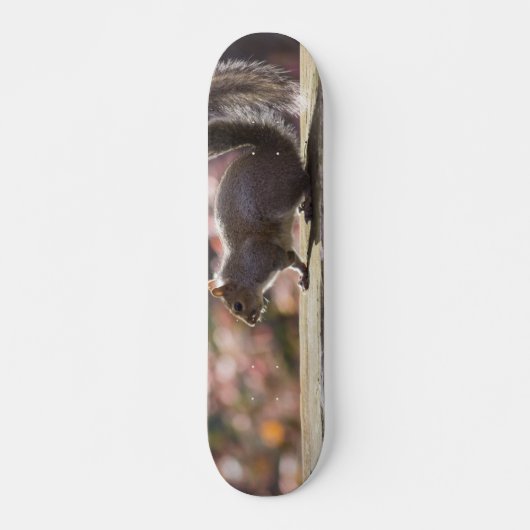 Glühende Eichhörnchen-Skateboard Skateboard (Vorne)