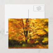Glühende Herbstbaummalerei Postkarte (Vorne/Hinten)