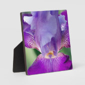 Glühende Irisnatur / blumengeschmücktes / botanisc Fotoplatte (Vorderseite)