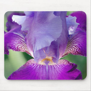 Glühende Irisnatur / blumengeschmücktes / botanisc Mousepad