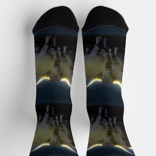 Glühende Kühe, Crew Socken (Oben)