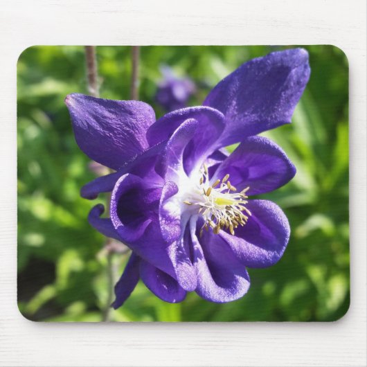 glühende lila Blume Mousepad (Vorne)