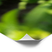 glühende lila Blume Poster (Ecke)