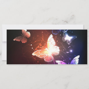 Glühende Nachtschmetterlinge Ankündigung
