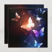 Glühende Nachtschmetterlinge Ankündigung (Vorne/Hinten)